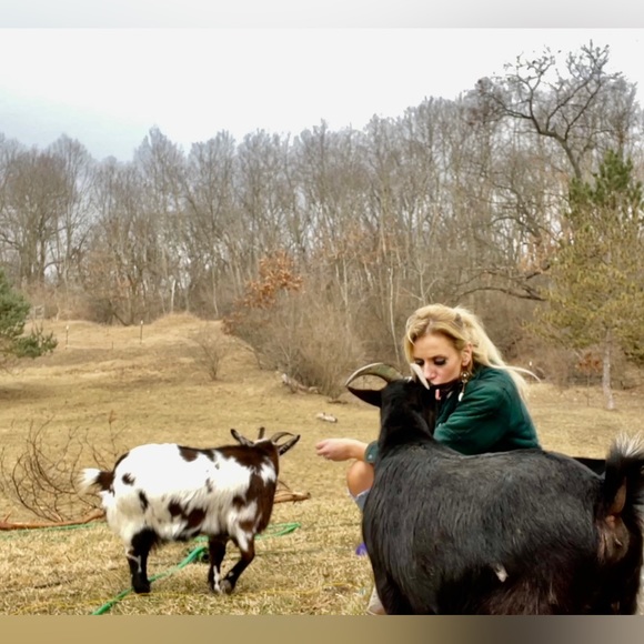 Meet your Posher, Andrea - Picture 2 of 4